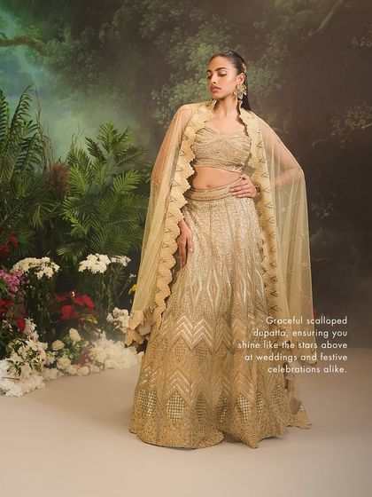 Contemporary Lehengas & Skirt Sets photo 13