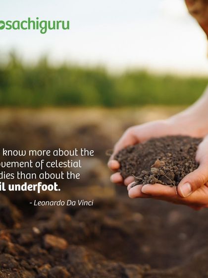 Leonardo Da Vinci said, "We know more about the movement of celestial bodies than about the soil underfoot." We're trying to change that, focusing on the complex world beneath our feet to build a sustainable future.