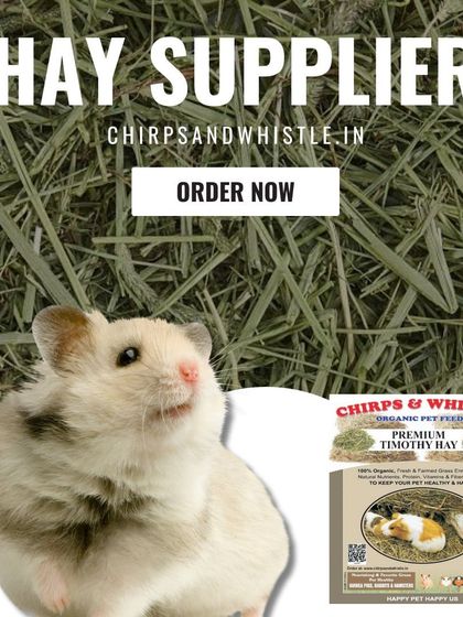 As a trusted hay supplier, I ensure my premium Timothy hay is organic and farm-fresh. It's the perfect food for your rabbits, guinea pigs, and hamsters.