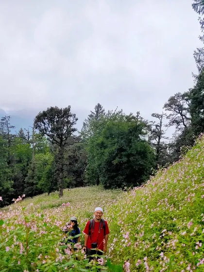 Trekkers walking through a meadow of pink wildflowers on the Bhrigu Lake trek.