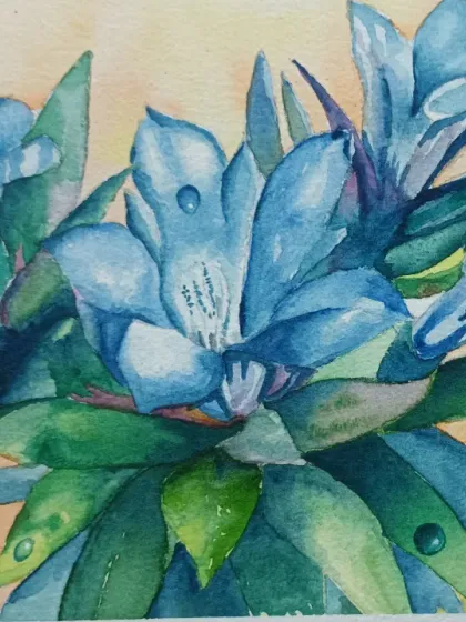 A lovely watercolour of blue flowers, painted by my student Sumanth. He has successfully captured the delicate nature of the petals and the dewdrops on the leaves.