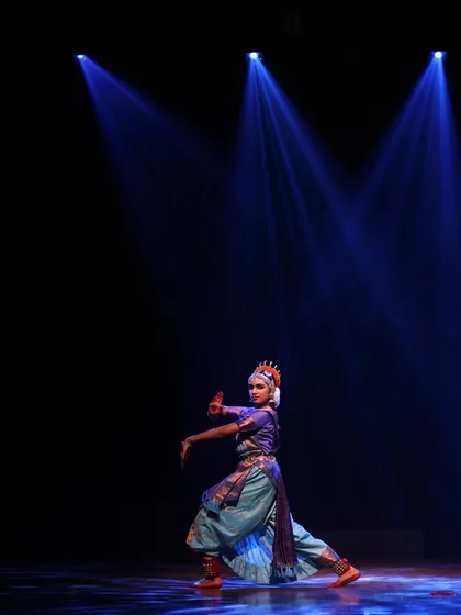 A solo artist holds the stage, illuminated by a single spotlight. This showcases the profound skill and captivating presence of an individual performer, perfect for more intimate gatherings where the focus is on pure, classical artistry.