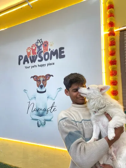 The best thank you we can get. This happy little Spitz is giving kisses to one of our team members, showing just how comfortable and loved he feels at our happy place.