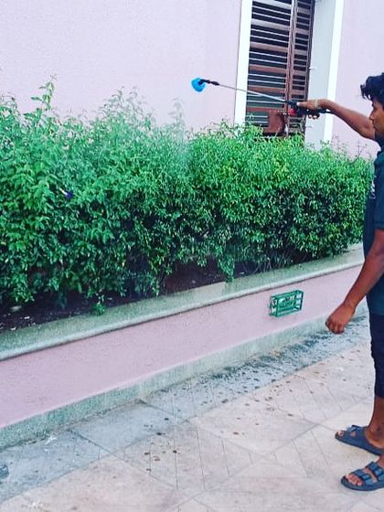 Here is another example of our pest management service in action. We carefully spray the foliage of these hedge plants to protect them and promote their dense, green growth.