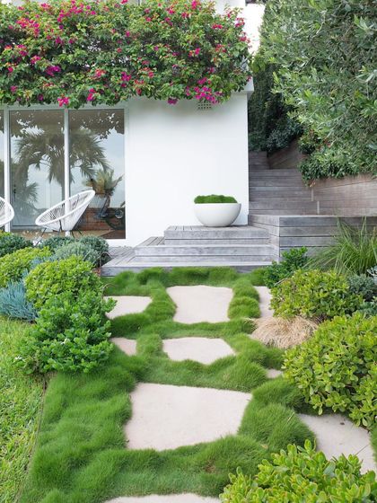 A beautiful example of a flagstone path leading up a gentle slope. The Zoysia grass planted between the stones creates a soft, moss-like effect, complemented by the surrounding shrubs and flowering bougainvillea.