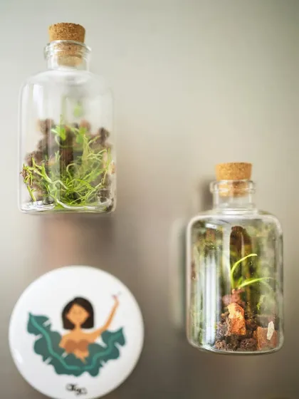 A pair of terrarium fridge magnets, each with a different internal landscape. These are available on my website and make great small gifts.
