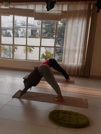 Students practice Downward-Facing Dog, the morning light casting long shadows across the floor.