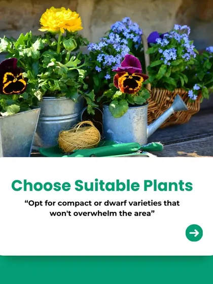 When gardening in a small space, choose suitable plants. Opt for compact or dwarf varieties that won't overwhelm the area, or use vertical space with climbing plants.