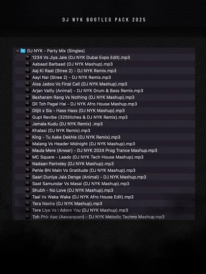 The tracklist for the 'Party Mix' singles from the 2025 Bootleg Pack. This includes many of my high energy mashups and remixes, like my takes on 'Arjan Vailly' and 'Jamala Kudu'.
