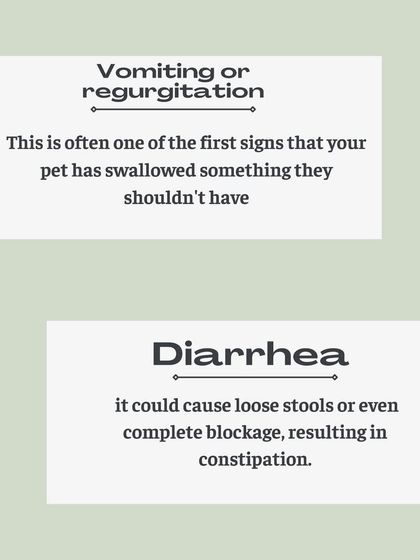 Furever Safe - Pet Boarding & Day Care Pet Parent Resources photo 12