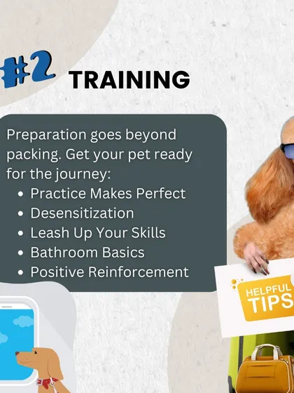 Training is a key part of travel preparation. We share helpful tips on crate training, leash skills, and positive reinforcement to get your pet ready for the journey ahead.