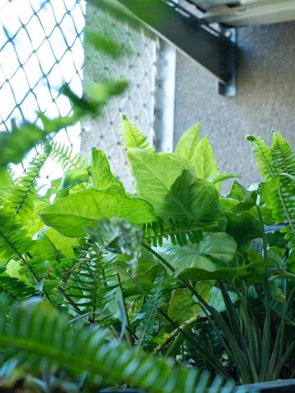 Plant Spotlights & Inspiration photo 16