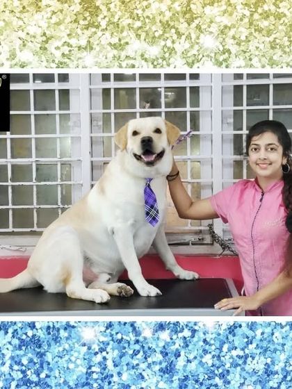 Fuzzy Wuzzy - Pet Grooming & Spa Spaniels, Retrievers & Large Breed Grooming photo 28