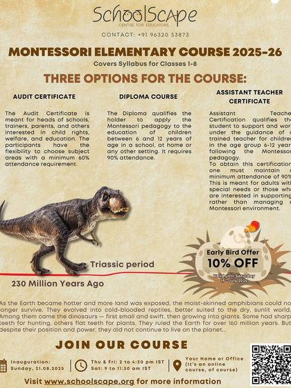 We offer three distinct certification paths for our Elementary Course: the full Diploma, an Audit Certificate for school heads and parents, and an Assistant Teacher Certificate for those supporting in a classroom.