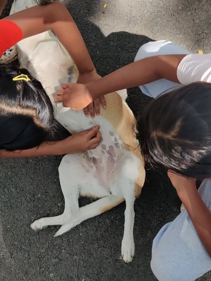 The Earth School - Nature & Community Engagement Programs Community in Action: Giving Back & Celebrating Together photo 26