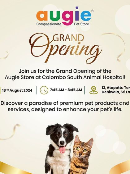 Augie Pets - Pet Grooming Services More from the Augie Pets Family photo 4