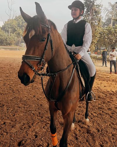Basic Horse Riding Lessons