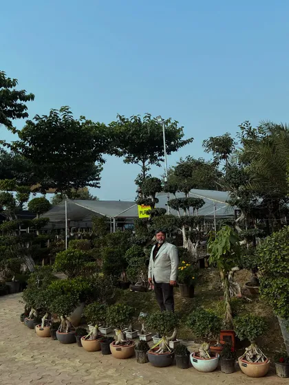 Humare paas bonsai aur bade pedon ka ek bada collection hai, jo aapke farmhouse ya bade garden ke liye perfect hai.