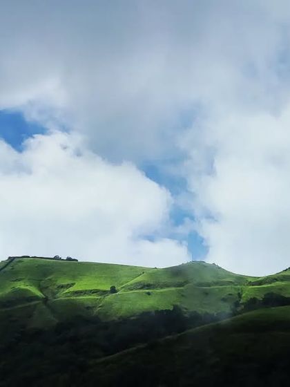 Puneeth - Cinematography for Film & Digital Media Wildlife & The Western Ghats photo 35