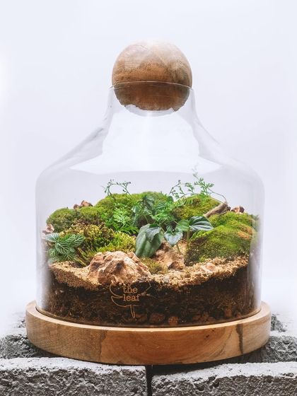 Creative Vessels: Teapots, Jars & More photo 49