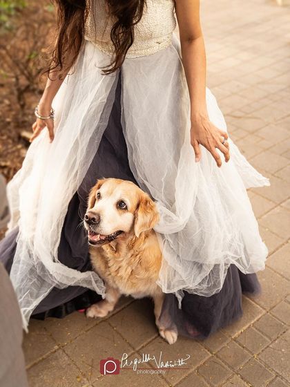 Pragalbh - Fine Art Pet Photography Family & Me photo 30