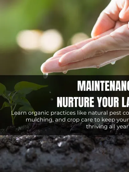 We nurture the land with ongoing organic maintenance. This includes natural pest control, mulching to conserve water, and proper crop care to keep the farm thriving all year long.