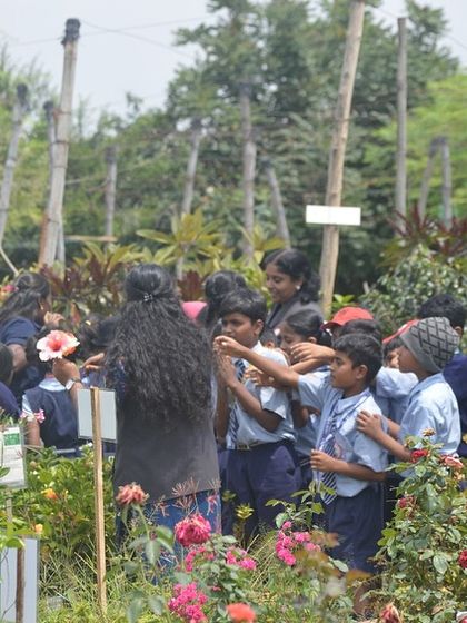 Make My Garden - Event Hosting & Workshops For Our Little Sprouts: Kids' Workshops & School Trips photo 15