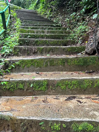 Mossy stone steps leading upward through nature. This is a visual metaphor to just keep going. Listen to your heart, have faith, and keep moving forward on your path.