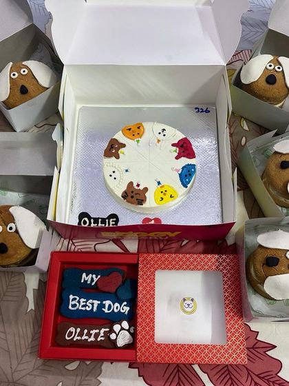 PL Paws - Dog Adoption Services Happy Tails: Our Adoptees in Their Forever Homes photo 106