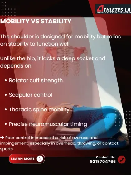Mobility vs. Stability: The shoulder is designed for mobility but relies on stability to function well. Unlike the hip, it lacks a deep socket and depends on rotator cuff strength, scapular control, and thoracic mobility. Poor control increases the risk of overuse injuries.