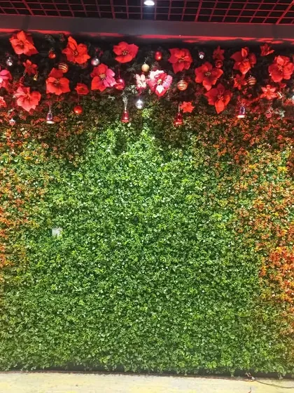 A lush green photo wall we designed for a Christmas event. The wall is decorated with beautiful red poinsettia flowers and warm accent lighting, offering a rich and elegant backdrop.