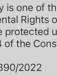 Constitutional Law Services