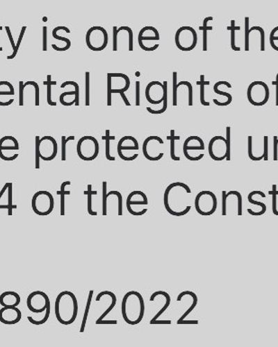 Constitutional Law Services