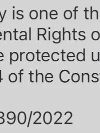 Constitutional Law Services