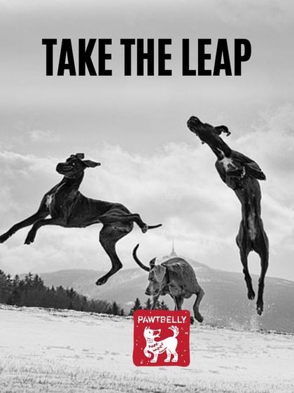 Pawtbelly - Fresh Dog Food Delivery Simple, Easy, Delivered photo 4