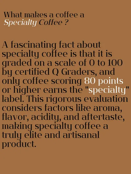 What makes a coffee a "Specialty Coffee"? This graphic explains the 100-point grading scale used by certified Q Graders.