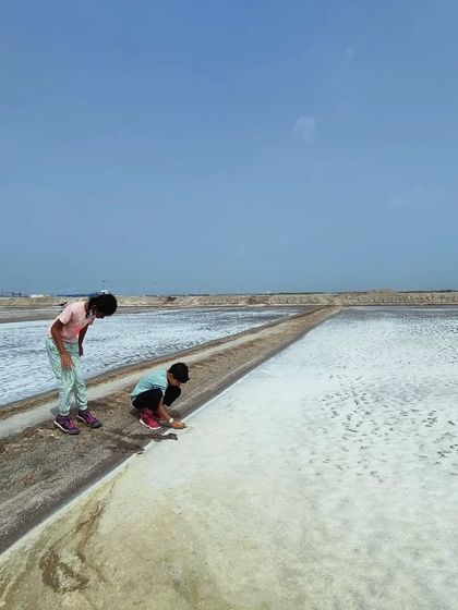 The Earth School - Nature & Community Engagement Programs Coastal & Marine Adventures photo 5