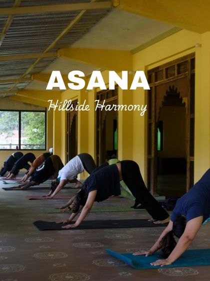 The downward-facing dog pose is a cornerstone of our asana practice. Here, our group flows together during the "Hillside Harmony" retreat, creating a collective rhythm of breath and movement.