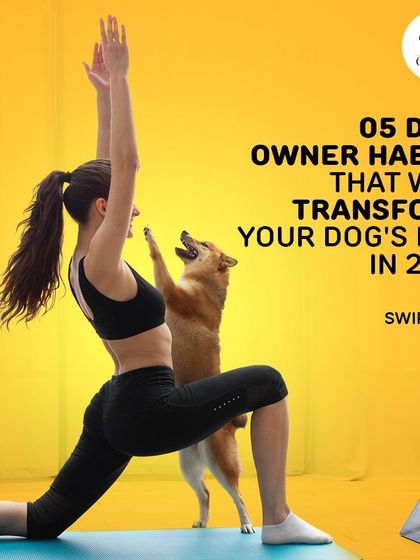 Oh My Pet - At-home Pet Grooming Pet Health & Safety Gyaan photo 14