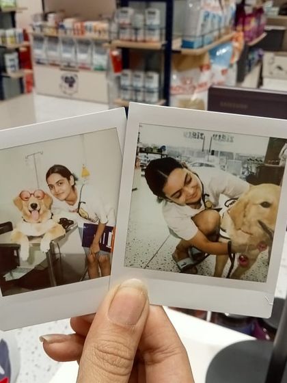 Zigly - Veterinary Services Events & Special Offers photo 19