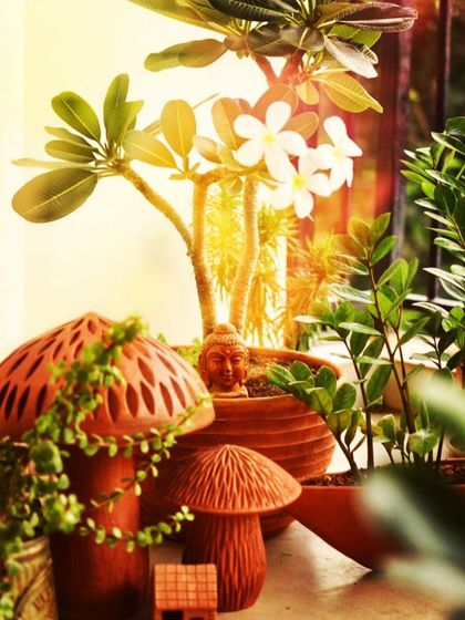 Small decorative elements can add a lot of charm. These terracotta mushrooms, placed among the plants, bring a whimsical, fairy-garden feel to this balcony corner.