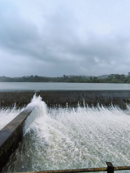 The overflowing check dam creates a wide, powerful cascade. It's a common and beautiful sight on our monsoon exploration trips in the Malenadu region.