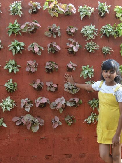 Bangalore Gardens - Vertical & Rooftop Gardening Vertical Garden Installations photo 12