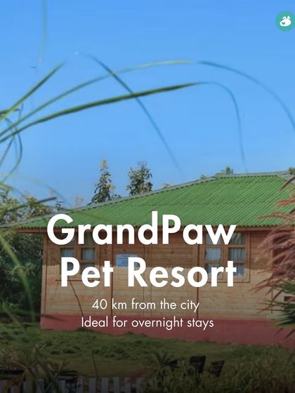 The Pack - Pet-Friendly Adventures & Meetups Pet-Parent Resources: Guides & Tips photo 19