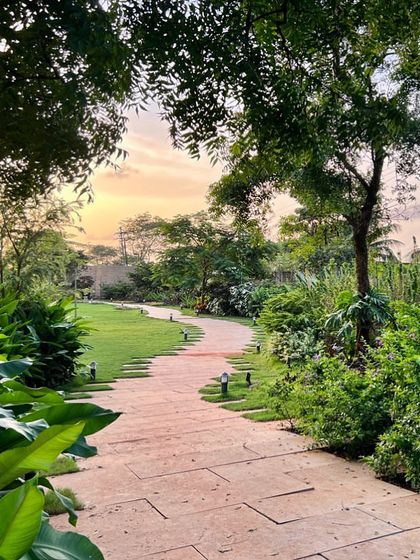 This meandering stone pathway in an Alibaug garden invites a slow, leisurely stroll. The path is flanked by lush, informal planting, creating a sense of journey and discovery as you walk toward the sunset.