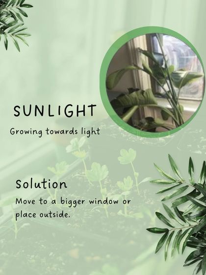 Hygrinz - Garden Maintenance Gardening Know-How: Tips & Techniques photo 49