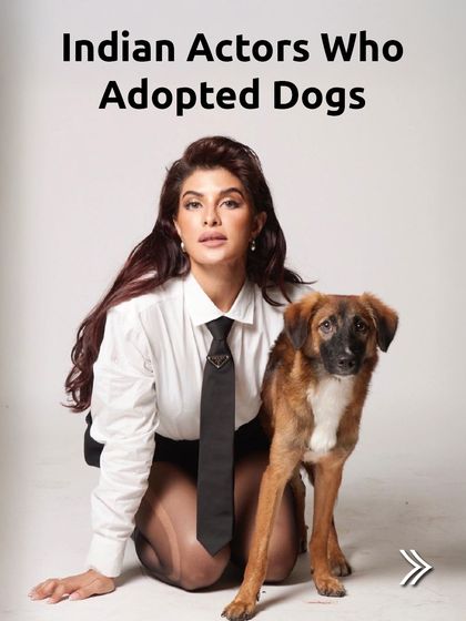 I love seeing celebrities use their platform for good. This is a shout-out to Indian actors who have chosen to adopt indie dogs, sending a powerful "adopt, don't shop" message.