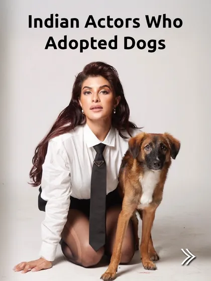 I love seeing celebrities use their platform for good. This is a shout-out to Indian actors who have chosen to adopt indie dogs, sending a powerful "adopt, don't shop" message.