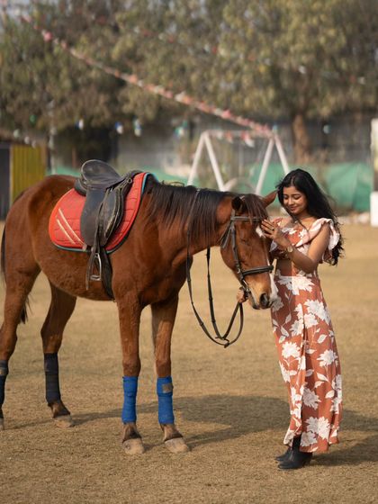 A Dynamic Backdrop for Photoshoots photo 28