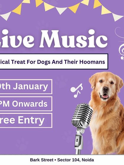 A musical treat for dogs and their hoomans. Our live music nights are a staple at Bark Street.